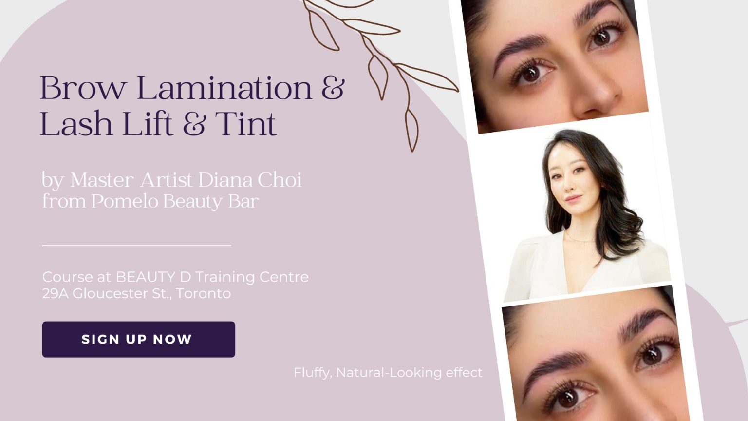 Lash Lift, Brow Lamination & Tint with Thuya BEAUTY D Beauty